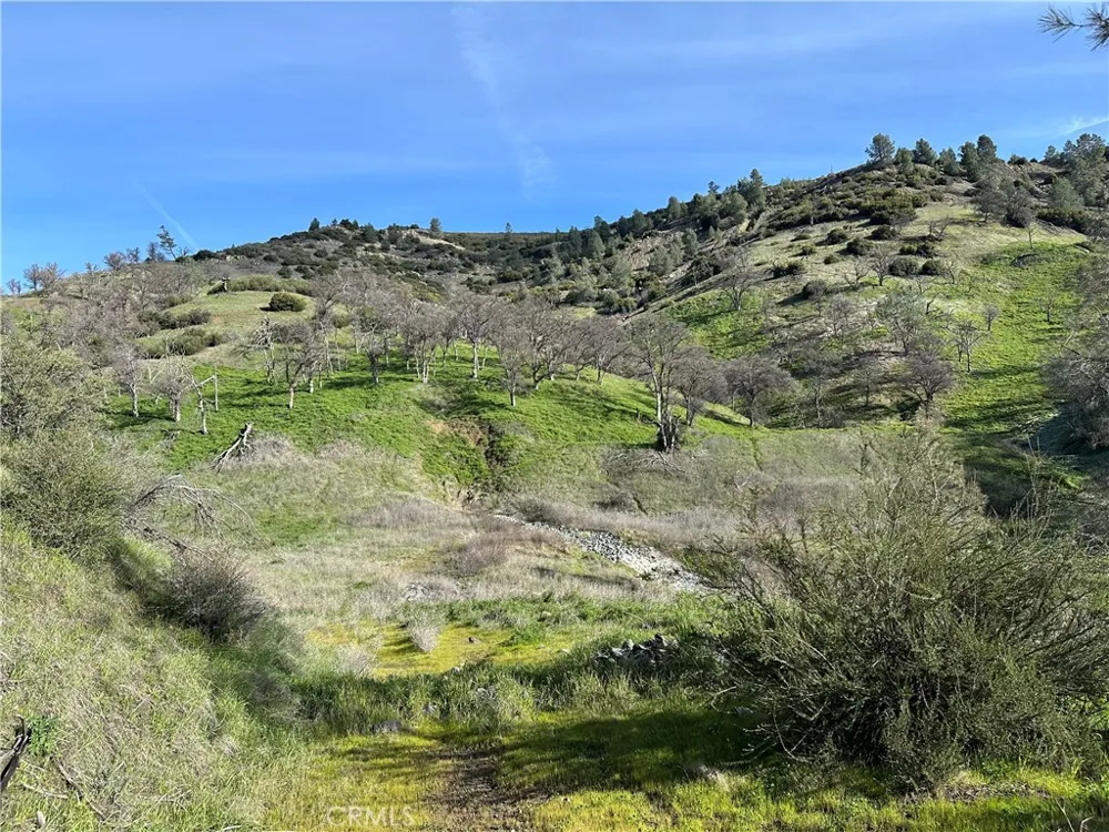 25156 E State Hwy 20 Clearlake Oaks, CA 95423