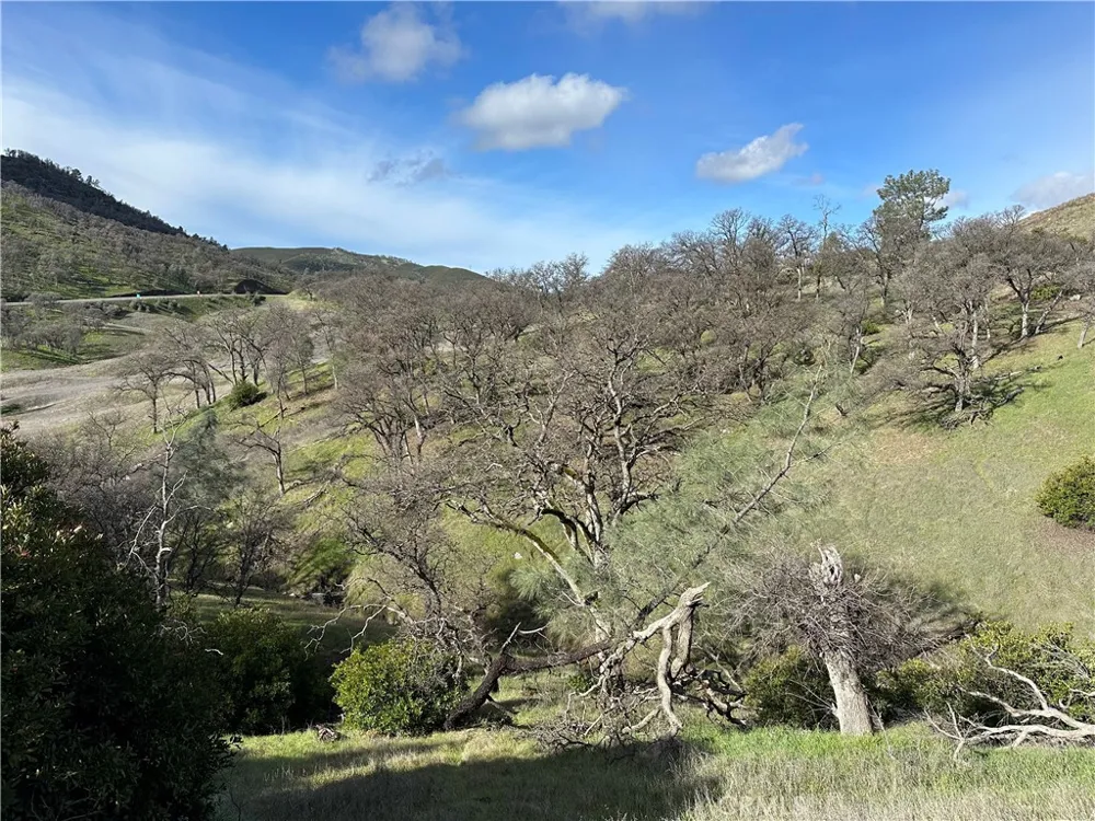25156 E State Hwy 20 Clearlake Oaks, CA 95423