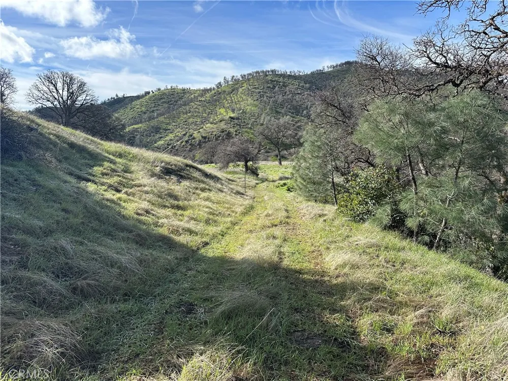 25156 E State Hwy 20 Clearlake Oaks, CA 95423