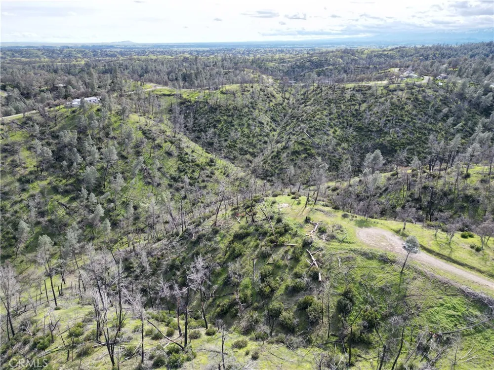 7074 Sugar Pine Court Corning, CA 96021