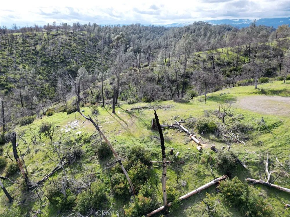7074 Sugar Pine Court Corning, CA 96021