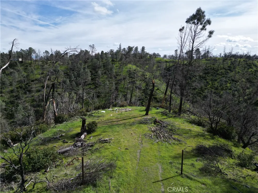 7074 Sugar Pine Court Corning, CA 96021