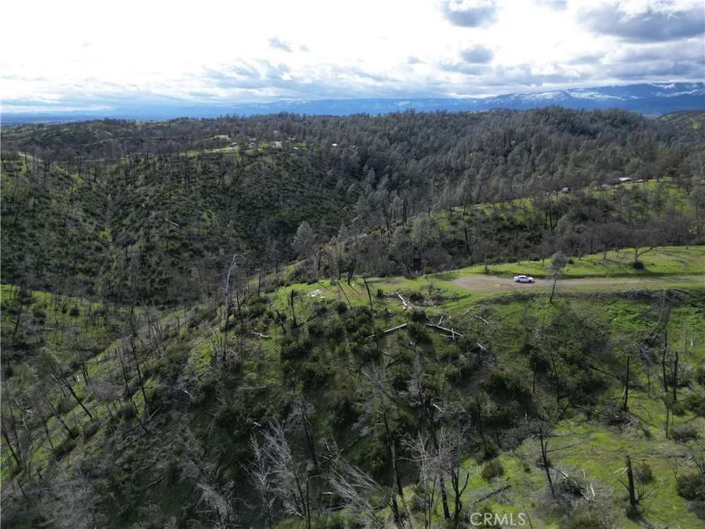 7074 Sugar Pine Court Corning, CA 96021
