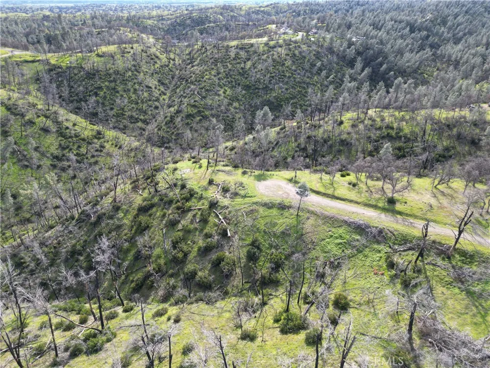 7074 Sugar Pine Court Corning, CA 96021