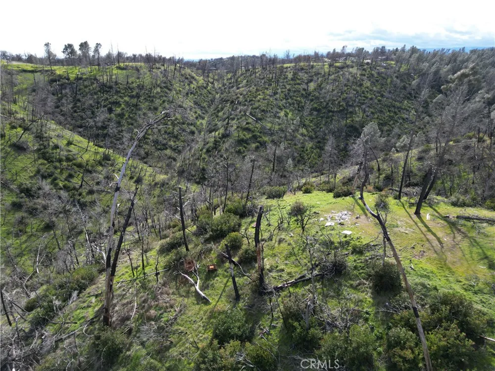 7074 Sugar Pine Court Corning, CA 96021