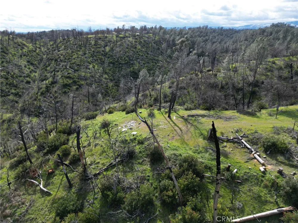 7074 Sugar Pine Court Corning, CA 96021