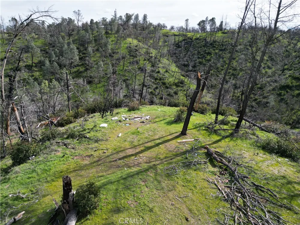 7074 Sugar Pine Court Corning, CA 96021