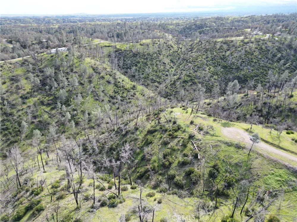 7074 Sugar Pine Court Corning, CA 96021