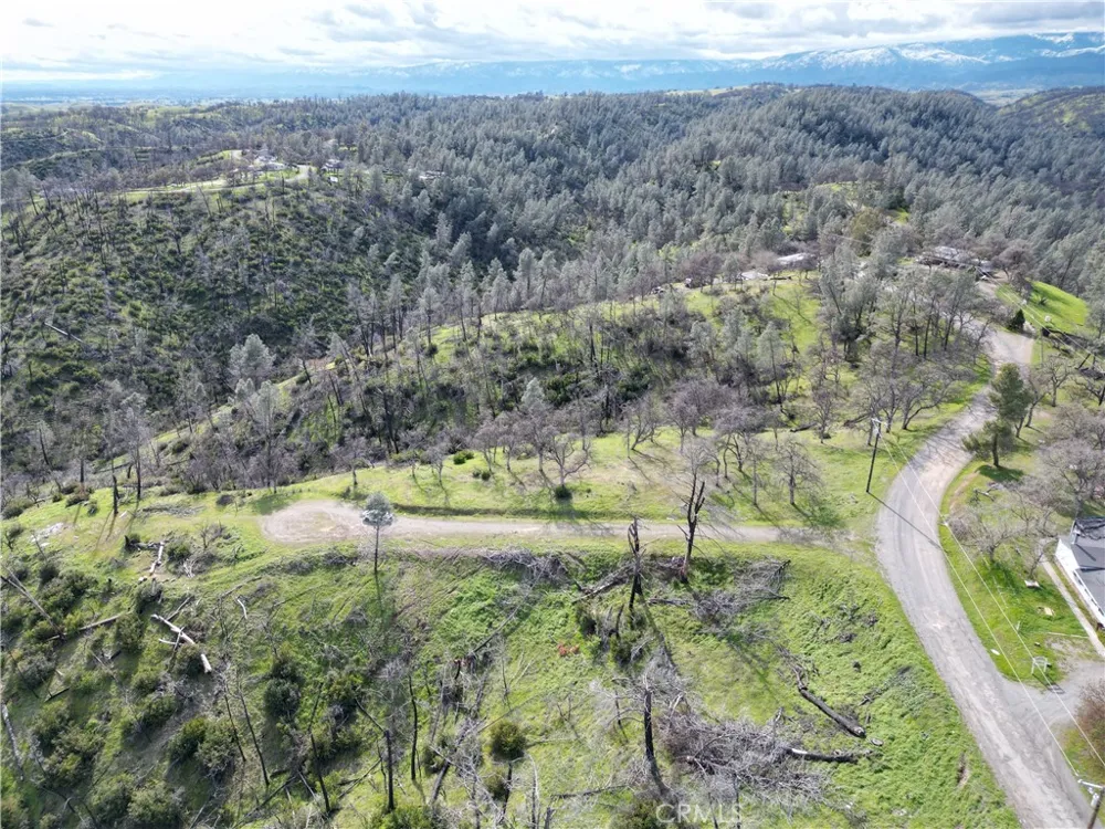 7074 Sugar Pine Court Corning, CA 96021