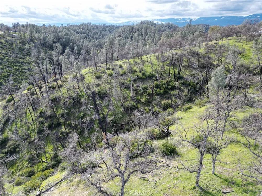 7074 Sugar Pine Court Corning, CA 96021