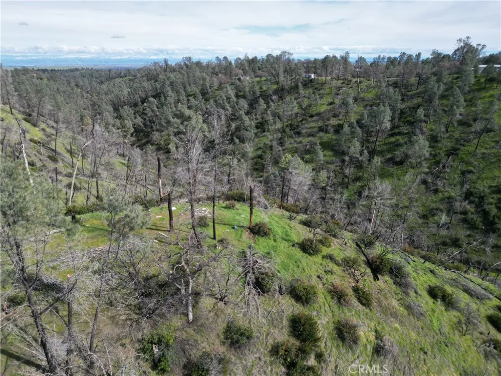 7074 Sugar Pine Court Corning, CA 96021