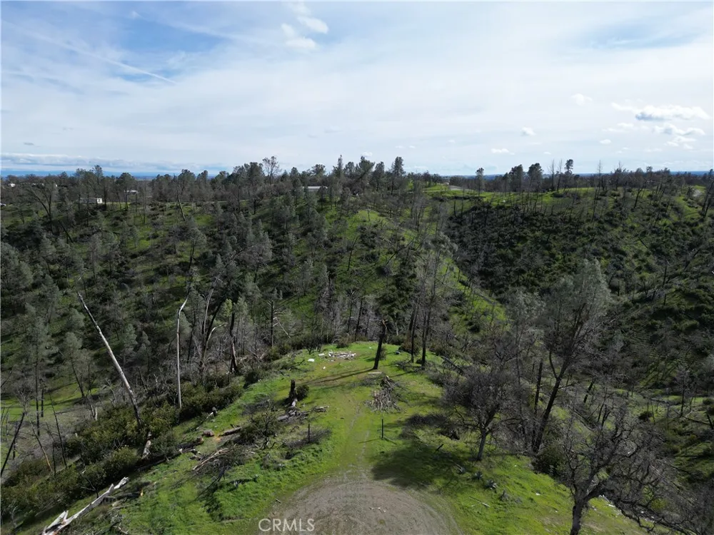 7074 Sugar Pine Court Corning, CA 96021