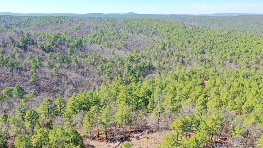County Road 1342 Red Oak, OK 74563