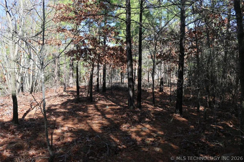 County Road 1342 Red Oak, OK 74563