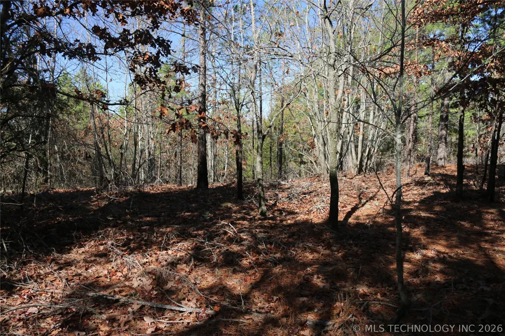 County Road 1342 Red Oak, OK 74563