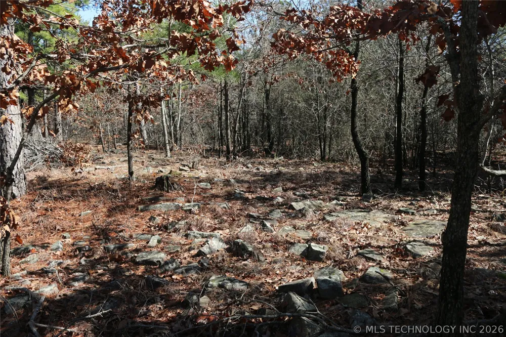 County Road 1342 Red Oak, OK 74563