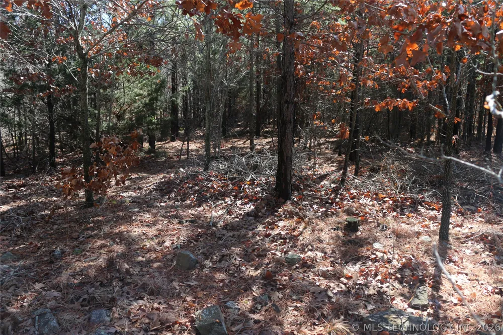 County Road 1342 Red Oak, OK 74563