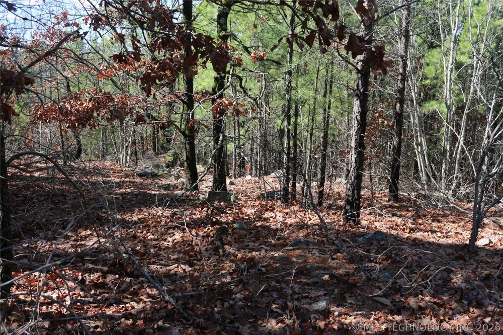 County Road 1342 Red Oak, OK 74563