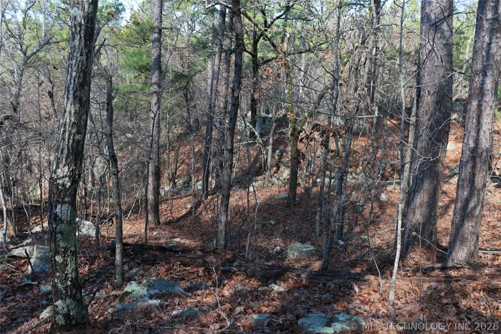 County Road 1342 Red Oak, OK 74563