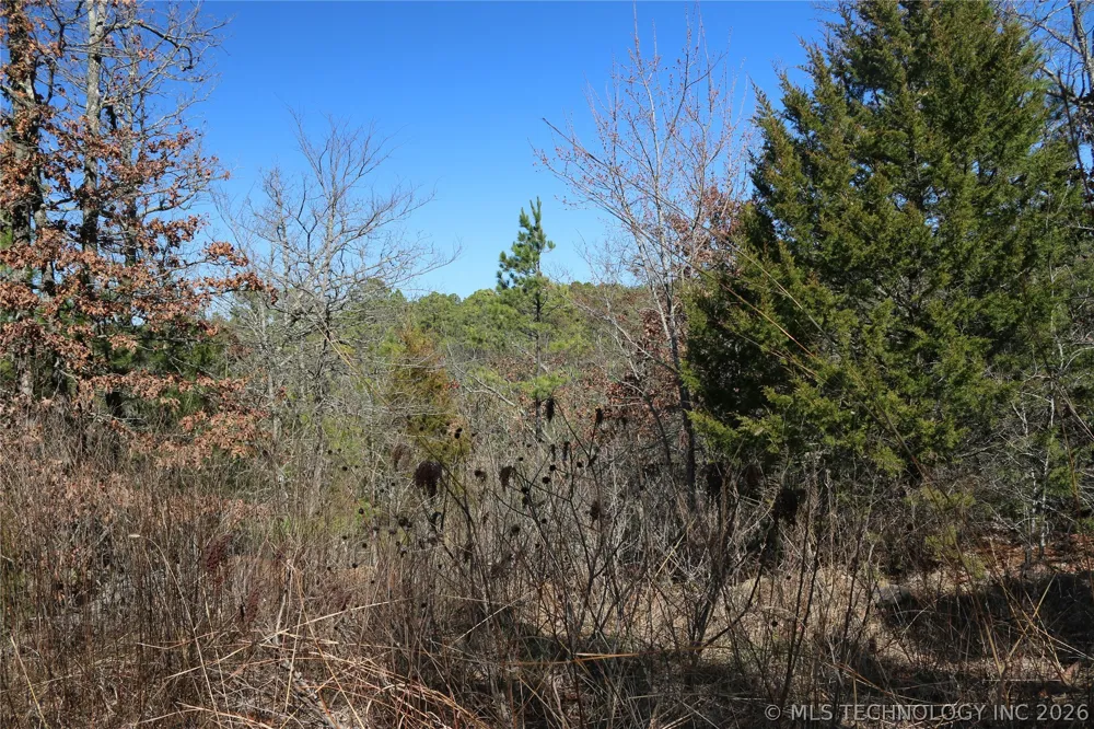 County Road 1342 Red Oak, OK 74563