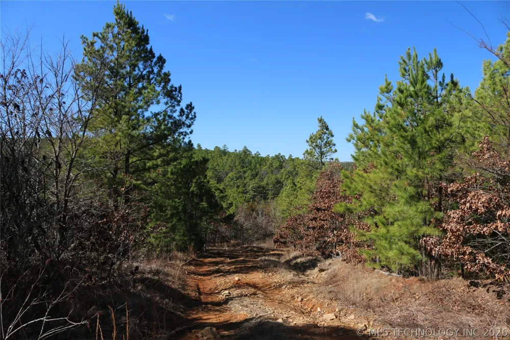 County Road 1342 Red Oak, OK 74563