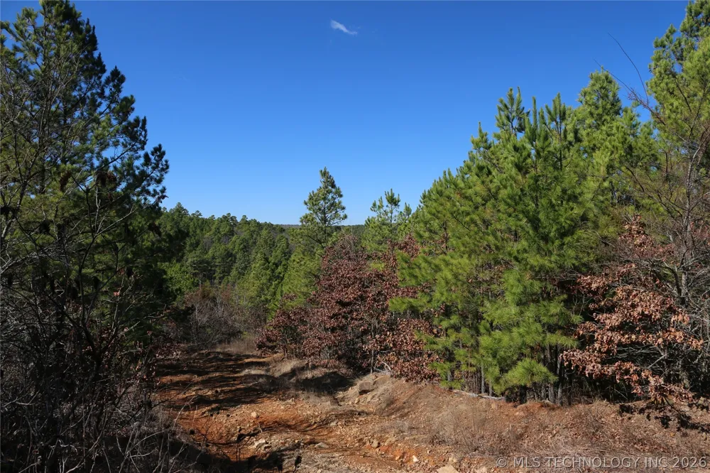 County Road 1342 Red Oak, OK 74563