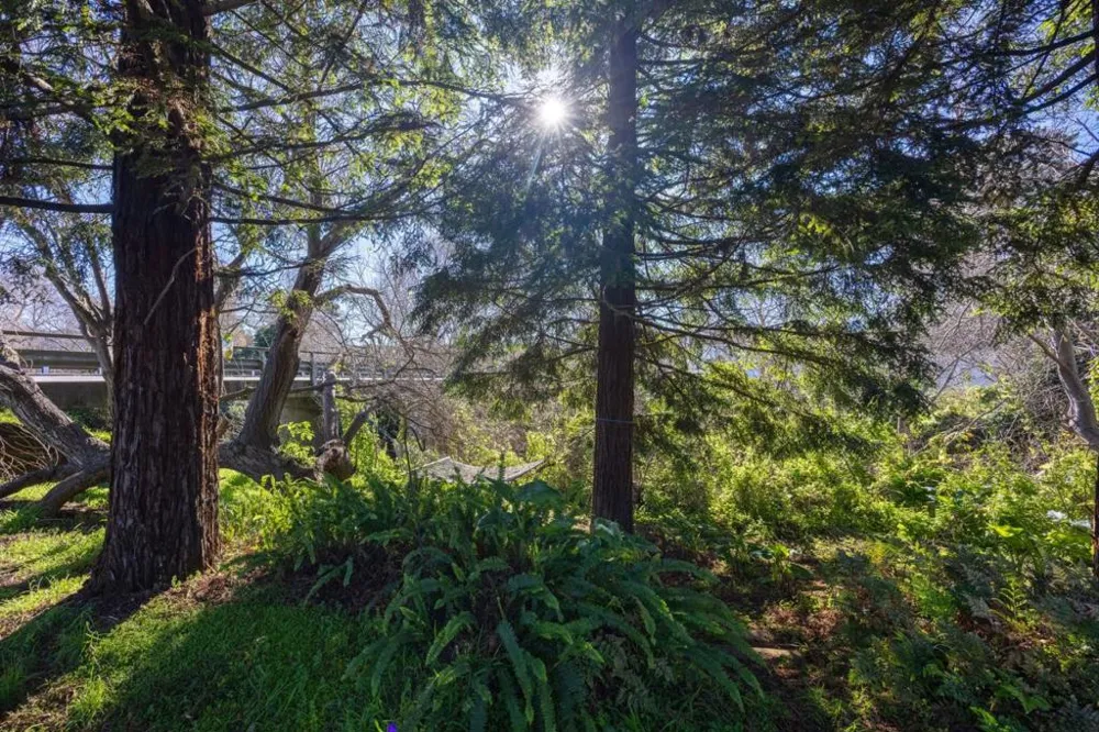 393 Stage Road Pescadero, CA 94060