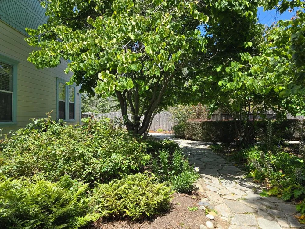 393 Stage Road Pescadero, CA 94060