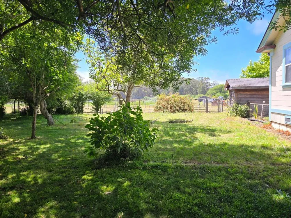 393 Stage Road Pescadero, CA 94060
