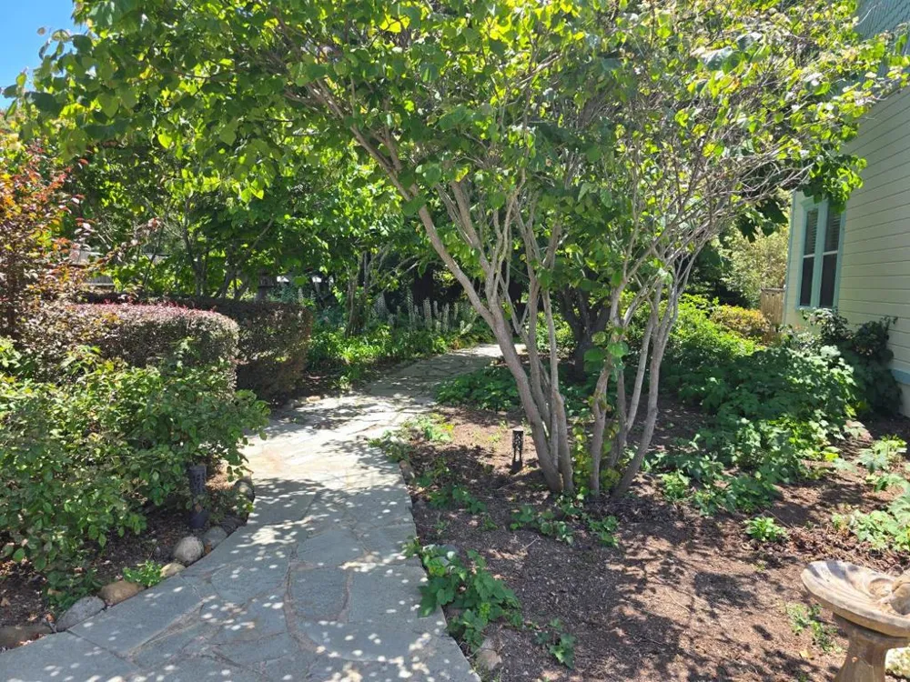 393 Stage Road Pescadero, CA 94060