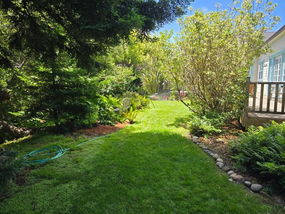 393 Stage Road Pescadero, CA 94060