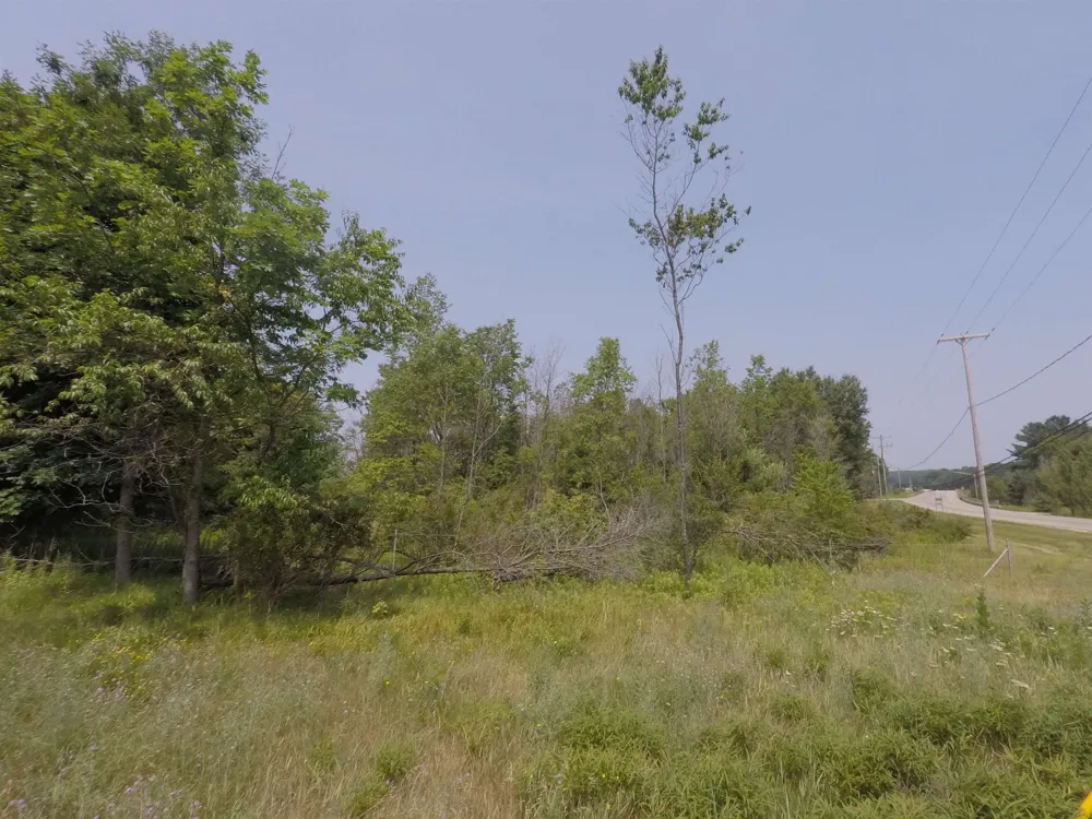 1201 E Division Cadillac City, MI 49601