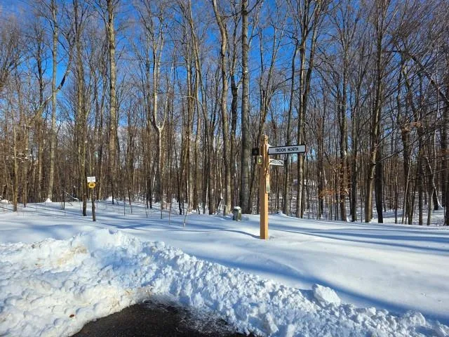 267 Congressional Drive Kearney Township, MI 49615