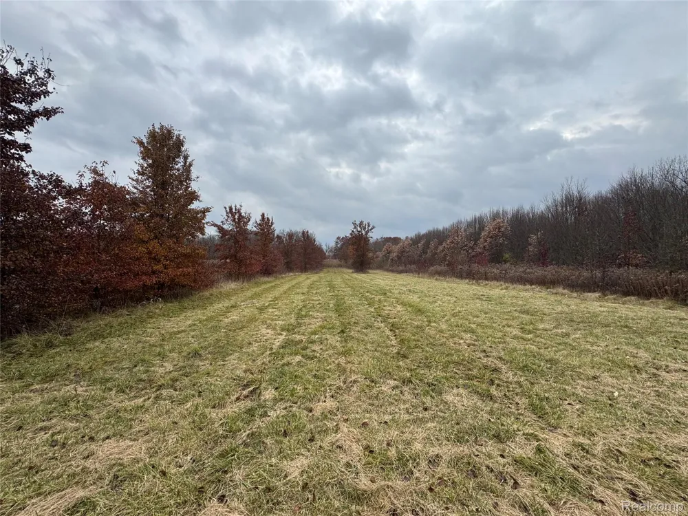 1 Remer Road China Township, MI 48054