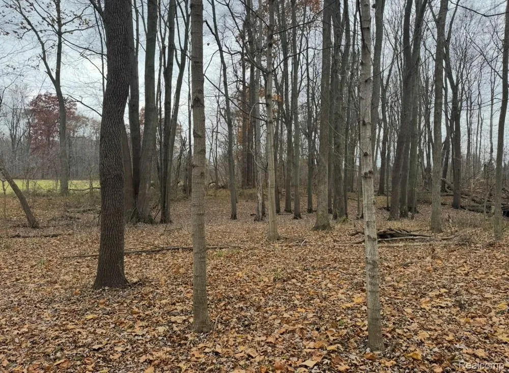 1 Remer Road China Township, MI 48054