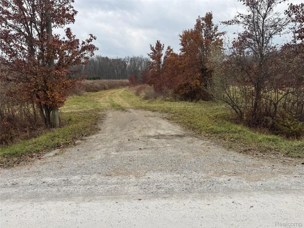 1 Remer Road China Township, MI 48054