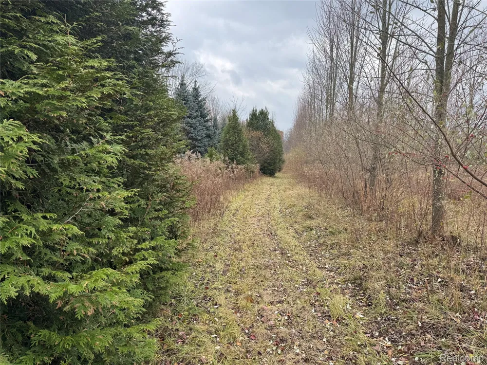 1 Remer Road China Township, MI 48054
