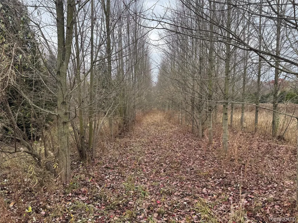 1 Remer Road China Township, MI 48054