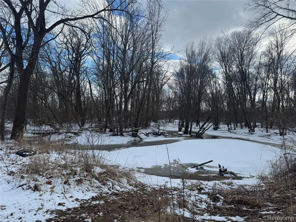 1 Remer Road China Township, MI 48054