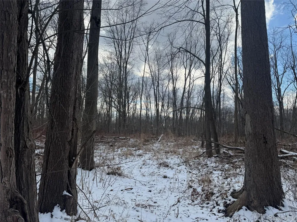 1 Remer Road China Township, MI 48054