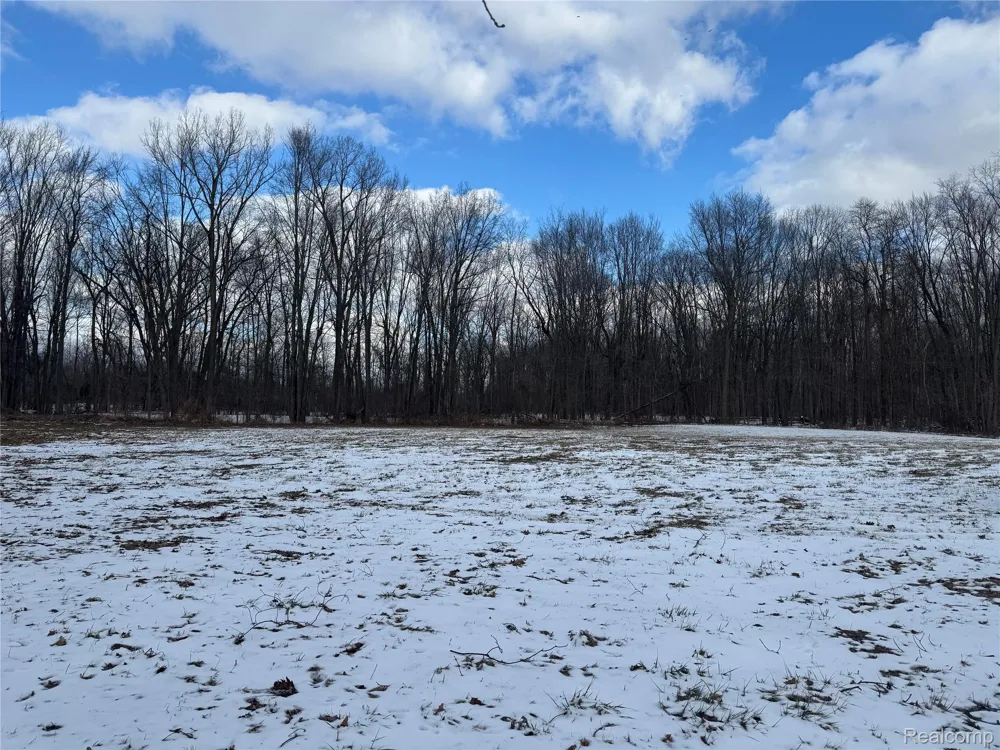 1 Remer Road China Township, MI 48054