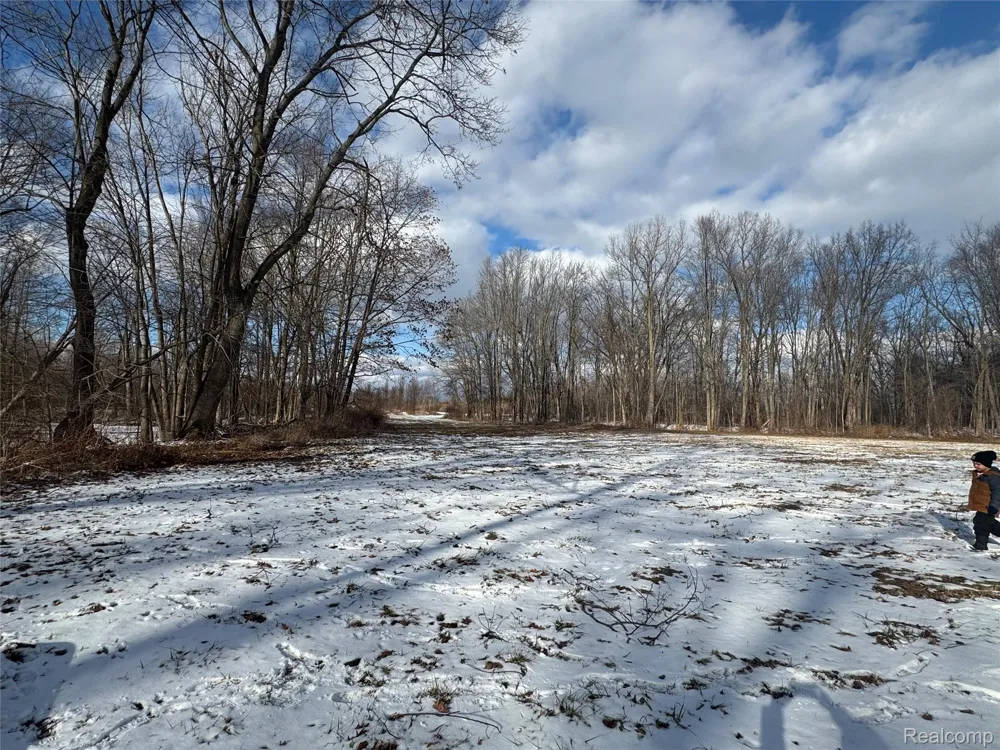 1 Remer Road China Township, MI 48054