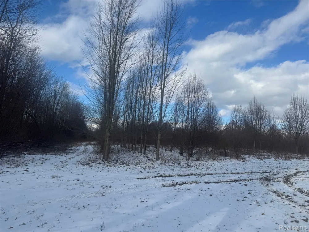1 Remer Road China Township, MI 48054