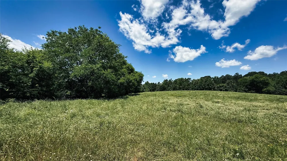 4 County Road 477 Henderson, TX 75654