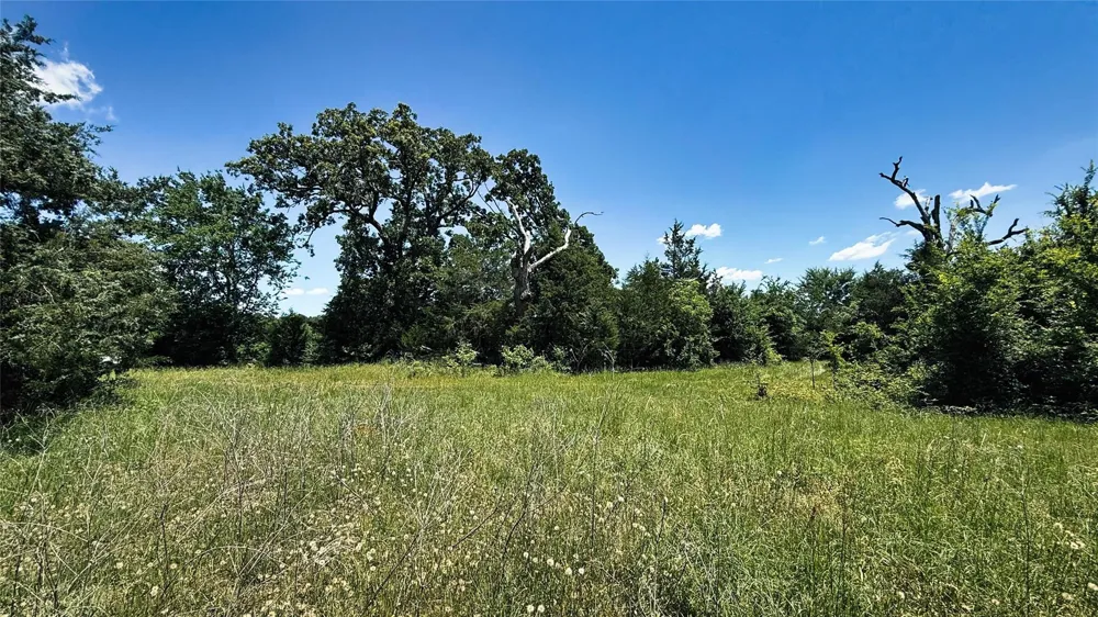 4 County Road 477 Henderson, TX 75654