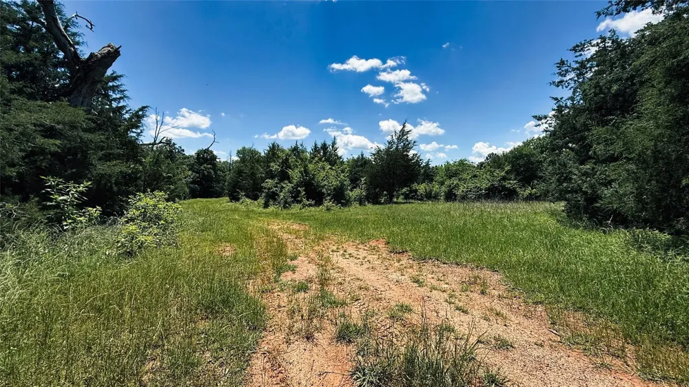 4 County Road 477 Henderson, TX 75654