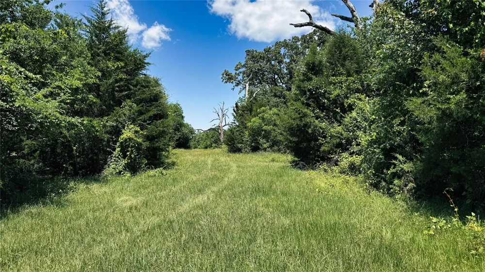 4 County Road 477 Henderson, TX 75654