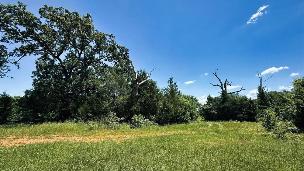 4 County Road 477 Henderson, TX 75654