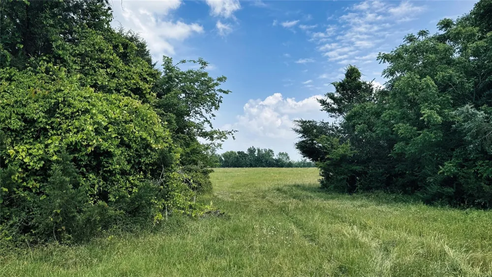 4 County Road 477 Henderson, TX 75654