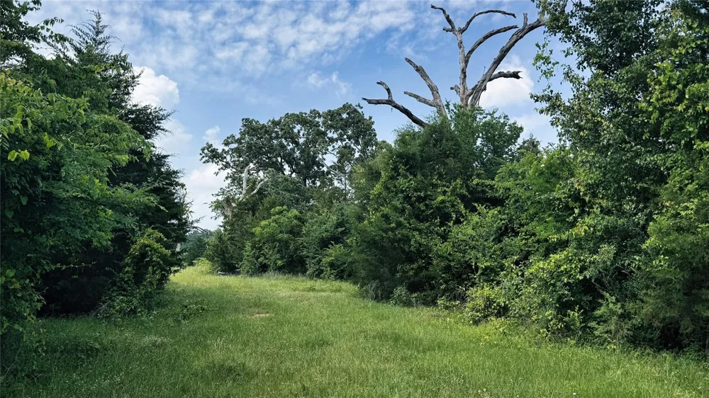 4 County Road 477 Henderson, TX 75654